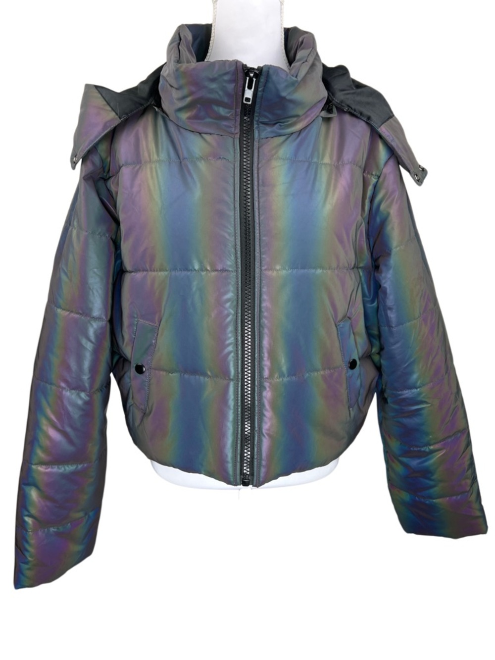 NWT Dolls Kill Current Mood XXL Iridescent Horned Puffer Jacket - Picture 2 of 9